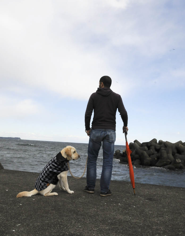 Canino Dog Rain Poncho Labrador Retriever