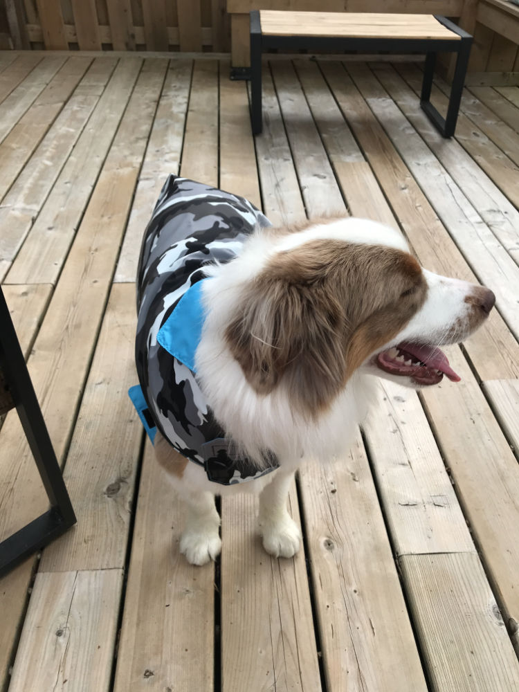 Canino UrbanCamo Jungle Reversible Dog Rain Poncho